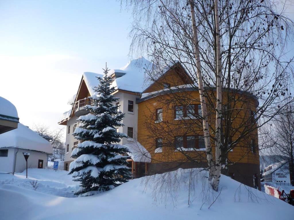 Apartman Modra Hvezda Rokytnice nad Jizerou Zewnętrze zdjęcie